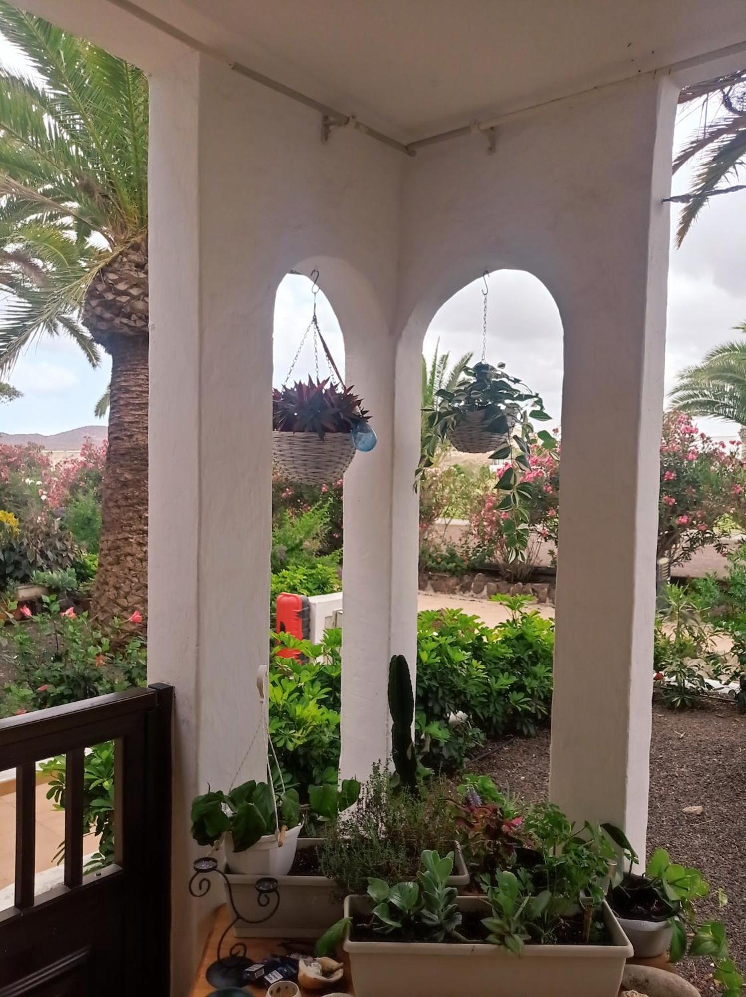 Summer Dreams Tenerife * San Miguel de Abona